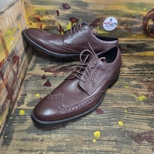 Cole Haan MODERN ESSENTIALS WING OXFORDS $300 Men's Shoes sz‎ 11 C39213